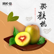 松阳红心猕猴桃