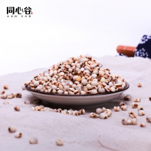 丽水特产土米仁薏米仁