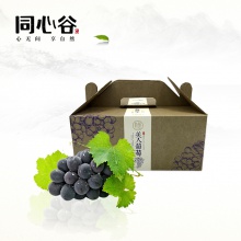 生态精品葡萄 夏黑葡萄