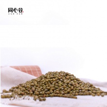 生态绿豆