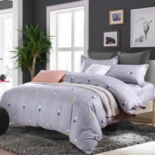 ☆喜芙妮（SOFTNIE）家纺床上用品 莫兰系列四件套 律动...