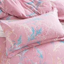 ☆喜芙妮（SOFTNIE）家纺床上用品 暖阳系列全棉四件套 时光 200*230 CM