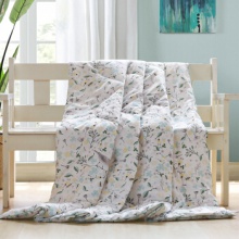 ☆喜芙妮（SOFTNIE）家纺床上用品 格力空调被 150*...