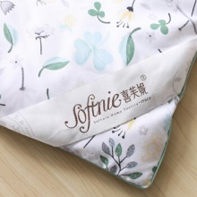 ☆喜芙妮（SOFTNIE）家纺床上用品 格力空调被 150*200cm