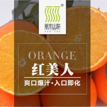 红美人 12只 橘中皇后
