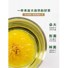 浙江丽水 康玥 轩德皇菊金丝皇菊一朵一杯 菊花茶大菊花贡菊