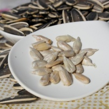 内蒙古巴彦淖尔市 心连心 葵花子大颗粒香瓜子瓜子 210g/罐